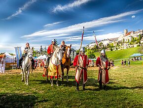 Agrandir l'image (fenêtre modale)