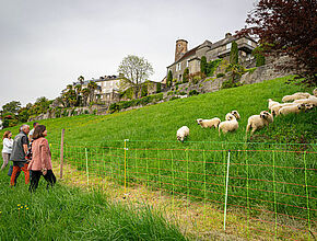 Agrandir l'image (fenêtre modale)